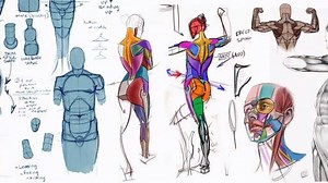 5.4K views · 237 reactions | “Analytical Figure Drawing” with Ron...