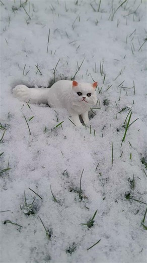 Schleich photo shoot in snow 🌨 📸 #schleich #animalfigure
