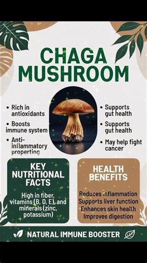 Chaga Mushroom: 7 Proven Health Benefits You NEED to Know! 🍄✨ #Shorts.