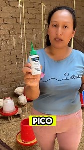 59K views · 318 reactions | La mejor Receta casera para la fiebre en aves #pollos #reelsviralシ #RemediosNaturales #remedioscaseros #gallinas #avesdecorral | plumitas coc | Facebook