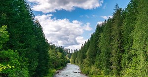 Washington | Regional Conservation Partnership Program | Natural Resources Conservation Service