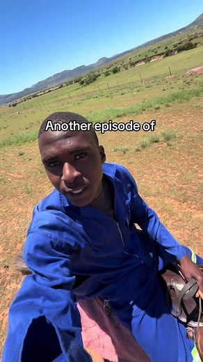 Exploring Xhosa Culture Through Horseback Cattle Fetching