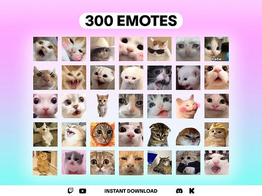 300  Funny Cat Emotes Pack: Animated Twitch, Youtube, Discord (gif, Png) - Etsy