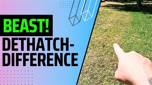 Watch A perfect towable dethatcher! Works great! on Amazon Live