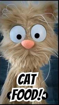 Mischievous Puppets Go Wild for Cat Food #funny #trending #puppets