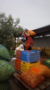 66K views · 2K reactions | Τι κοιτάτε...ελάτε να βοηθήσετε!!!! Πειρατολόγιο- Piratologio Ξεμισιάστκα ο καψερός... | Pirate Thessaloniki | Facebook