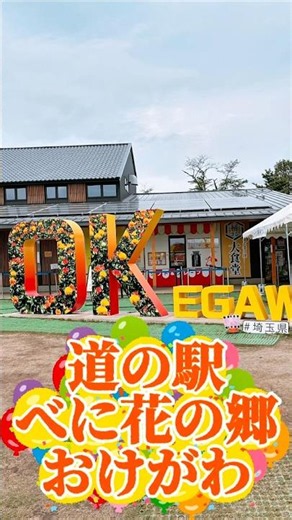 【道の駅べに花の郷おけがわ】神スイーツ勢揃い！超話題スポットで絶品グルメを喰らい尽くす！【埼玉県】 バンライフ 車中泊