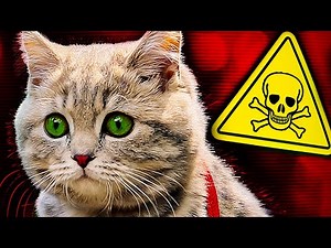 Shock Videos are Making a Dark Comeback to TikTok and Twitter