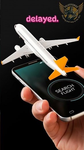 Track Your Plane in Real Time With This Easy Trick!