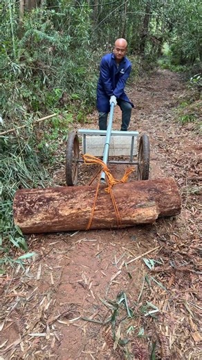 Lumberjack's Daily Life: One Man Moves a Giant Log, Step by Step