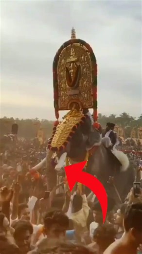 Karna created history with his stand in the middle of a crowded crowd#storify#storifystudio