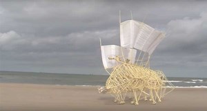 The Weirdest Outdoor DIY: Wood and PVC "Animals" That Actually Walk