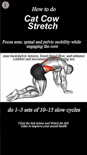 How to Perform Cat Cow Stretch With Perfect Form