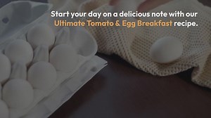 Tomato & Egg Breakfast