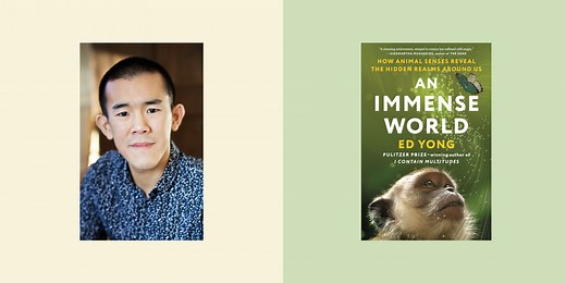 Ed Yong’s “An Immense World” Probes What We Can Learn from the Creatures Around Us