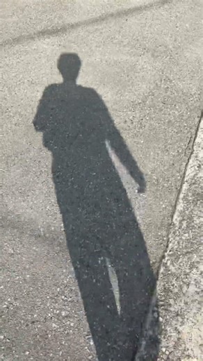 Shadow Play #53 / Walking in a Japanese Shrine #shorts