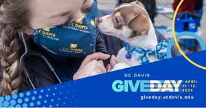 School of Veterinary Medicine