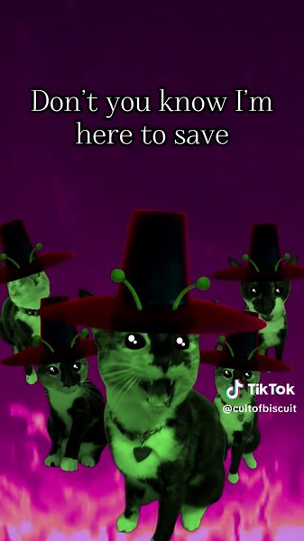 Biscuit: The Adorable Cat Saving the Day!