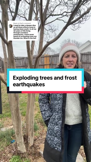 Exploding Trees and Frost Earthquakes Explained