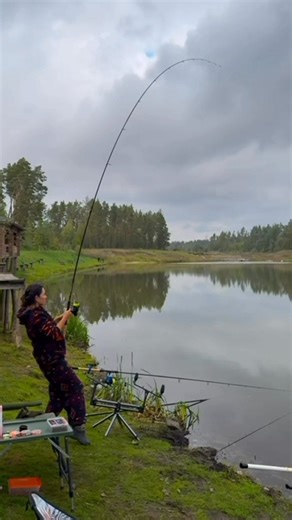 They told me carp fishing is “not for girls”… so I picked up a rod and proved them wrong. 🎣💪 A quick look at my carp session – the bite, the fight and the moment I finally land the fish. If you like seeing girls on the bank, smashing stereotypes and catching carp, hit Follow and stay with me for more fishing moments. 🐟 #carpfishing #fishinggirl #girlswhofish #girlpower #carp #carpangling #carplife #fishinglife #fishing #fishingvideo #fishingfun #banklife #catchandrelease #bigcarp #outdoorsgir