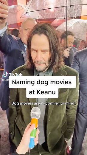 Keanu Reeves' Dog in John Wick: Meet the Beloved Canine Co-Star