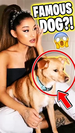 Ariana Grande Reveals How Her Dog Became FAMOUS 🐶✨ #arianagrande #arianators