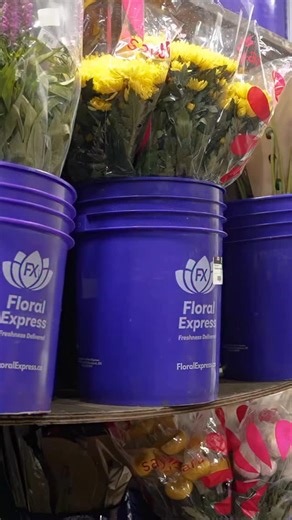 Meet Floral Express🌷 For over 45 years, this Woodstock-based company has been delivering beautiful, top-quality florals to florists and retailers across North America, all with one promise: fast, fresh, and on time. Their passion and mission for quality and freshness continues to bloom with every delivery. #MeetTheMakers #FloralExpress #OntarioGrown #FreshFlowers #LocalVendors #ShopLocal #FarmFresh #DeliveredToYourDoor #ProduceExpress | Produce Express