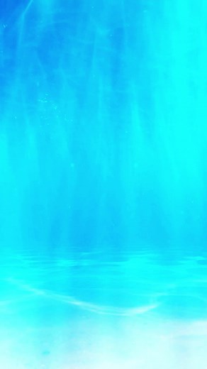 Celebrate Independence Day with Shark Tank Pakistan