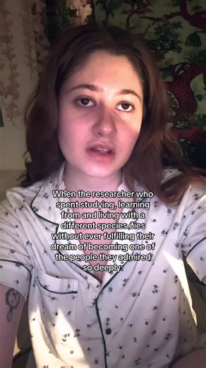 Exploring Dreams in Fantasy Fiction