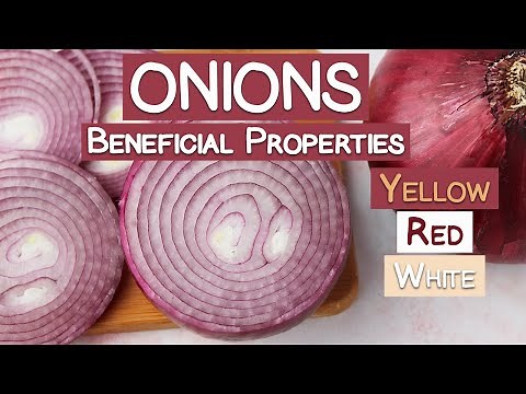 Onions and Their Beneficial Properties | Yellow, Red & White