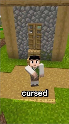 MOST CURSED texture pack