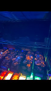 53K views · 963 reactions | Check out all of the new Yooperlites stones at www.yooperlites.com | Yooperlites | Facebook