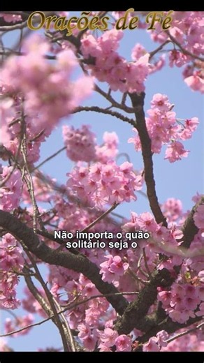 Uma mensagem de Deus pra você - ‪@oracoesdefe‬