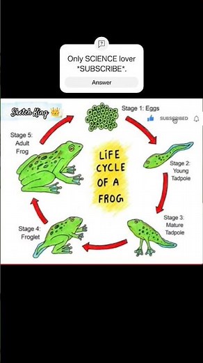 How to draw Life cycle of Frog Diagram drawing || step by step science poster tutorial (easy)
