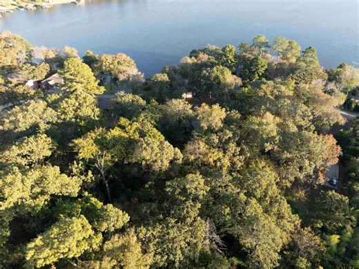 000 Callender Lake Dr, Murchison, TX 75778 - MLS 25017026 - Coldwell Banker