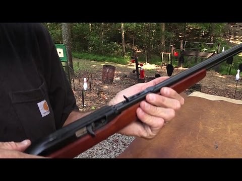 Marlin Model 60 22lr Ch 2