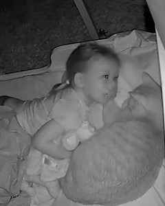 145K views · 2.4K reactions | 'After 2.5 years of kicking our cat out of our toddler's bedroom, we finally decided to stop and this happened...'  | Lessons Learned In Life | Facebook