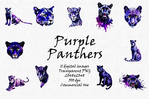 Purple Panthers Clipart - Digital Art - 11 High Quality PNG Images - 300dpi - Transparent Background - Commercial Use - Digital Download - Etsy