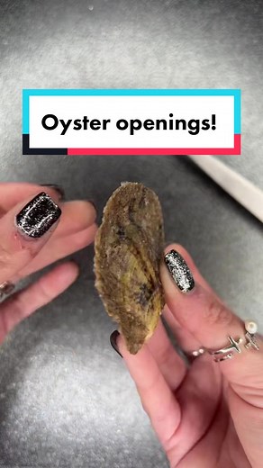 Pearl Oyster Opening: Akoya, Edison, & More