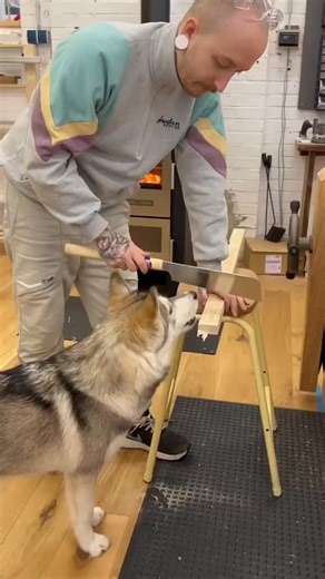 woodworking crazy on Instagram: "👉 Grab 12,000 shed plans inside... (@woodworking.crazy) Build sheds easily with this collection of 12,000 plans How to build sheds like lego bricks... GET ACCESS TO 12,000 SHED PLANS ⏩ LINK IN BIO- @woodworking.crazy . Hey there,If you enjoy building sheds like I do, here's a great site for you to download shed plans . Get access to 12,000 shed plans >> @woodworking.crazy . Plans So Complete, They Build Themselves! . Ryan is giving away over 12,000 step-by-step