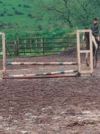 43 reactions · 4 comments | Janet Devlin on Reels | Facebook