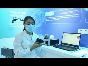 Quick Start Video Guide| RWD R810 Dual Color Multichannel Fiber Photometry System