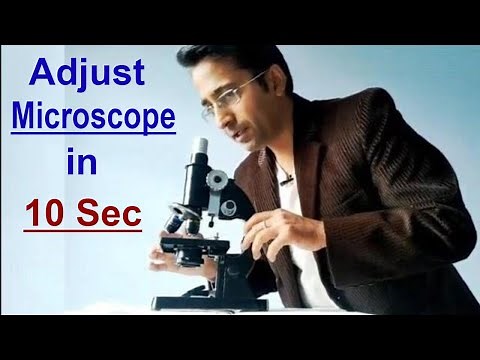 How to Use a Microscope: Focus Any Slide in 10 Seconds! 🔬