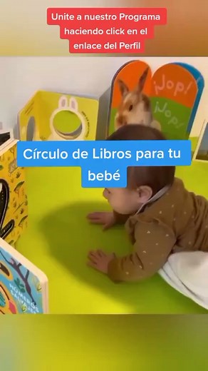 4K views · 46 reactions |  Aprendé actividades y juegos divertidos para estimular a tu bebé! 拾 ❌ Sin salir de tu casa ❌ Sin horarios ❌ Sin experiencia previa #estimulaciontemprana #estimulacionadecuada #desarrolloinfantil #estimulacionbebe #estimulacionencasa #desarrollopsicomotorbebe #desarrollobebe #estimulaciontempranainfantil #bebes #baby #bebesfelices #tummytime #tummytimefun | Creciendo Juntos | Facebook