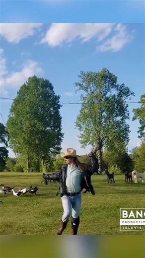 Japanese Cheetah #funny #laugh #bangproductionstv | Darren Knight