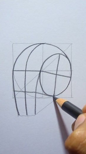 Cómo dibujar el plano de una cabeza de 3/4. #feed #dibujo #cabeza #arte #draw #rostro | PasionArt Alex