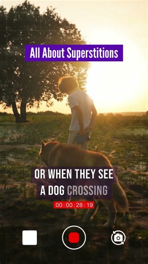 All About Superstitions