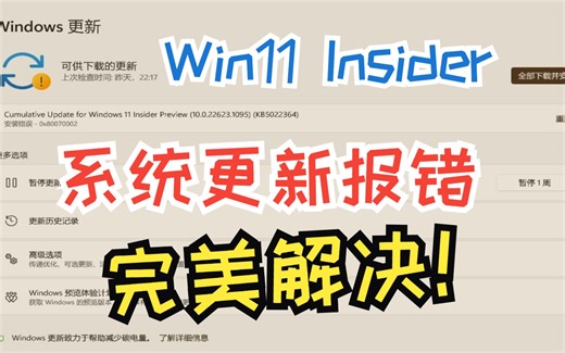 全网首发！完美解决Win11测试版更新报错更新失败问题的方法！速看！