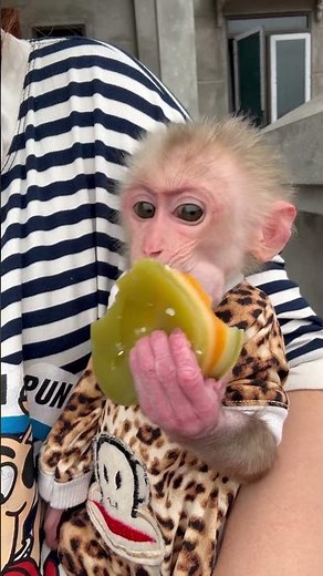 Bibi eats tsys potato cake