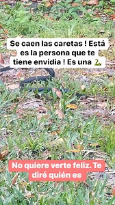 213K views · 4.1K reactions | Esta persona es #envidiosa pero no te preocupes te diré porque te voy a bendecir para que estés en #proteccion | Ley Atracción para la Abundancia | Facebook